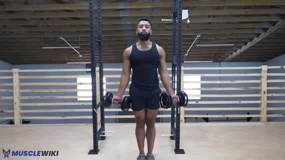 Dumbbell Zottman Curl