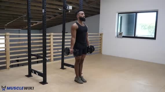 Dumbbell Zottman Curl