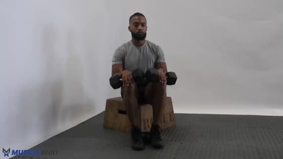 Alzata del tibiale anteriore da seduto con manubrio