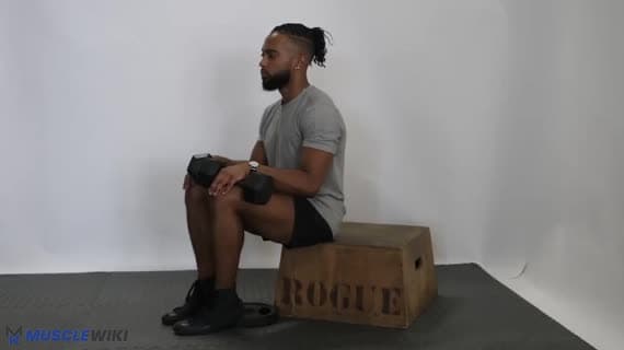 Alzata del tibiale anteriore da seduto con manubrio