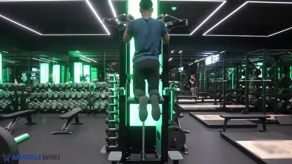 Подтягивания на тренажёре с ассистом (обратный хват)