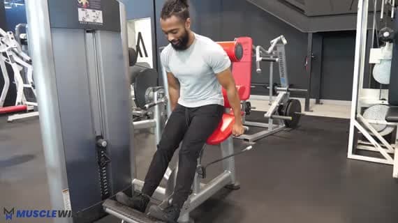 Machine Lowerback Exercises | MuscleWiki