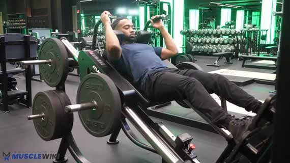 Machine Hack Squat