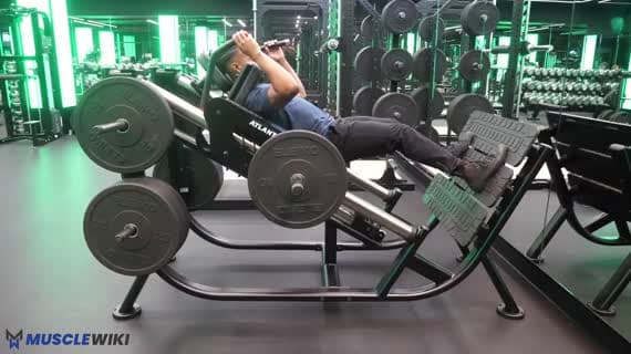 Machine Hack Squat