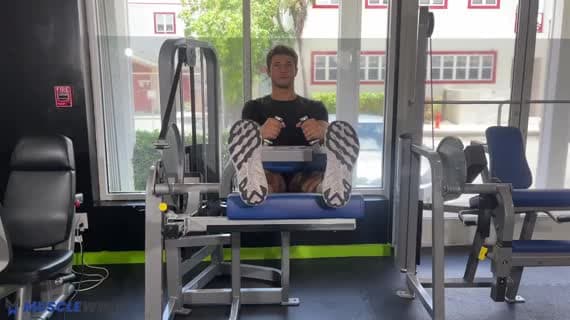 Machine Seated Leg Curl