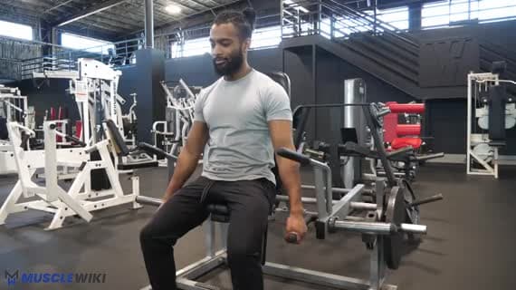 Rétraction d'épaules assis à la machine