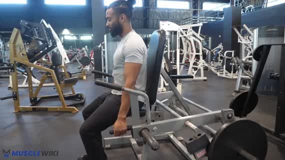 Rétraction d'épaules assis à la machine