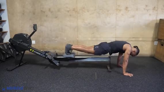Machine Abdominal 运动 | MuscleWiki