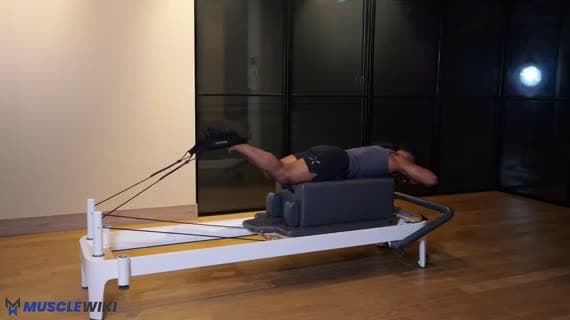 Pilates Hamtring Curls Prone