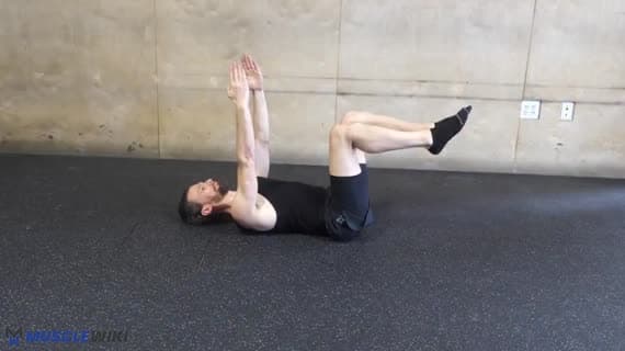 Tekst: Martwe Robaki Krzyżujące Poziomice