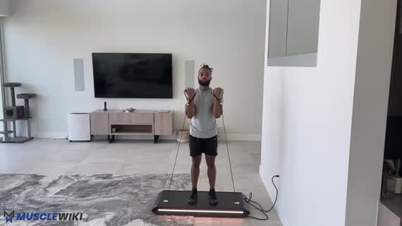 Vitruvian Arnold Press