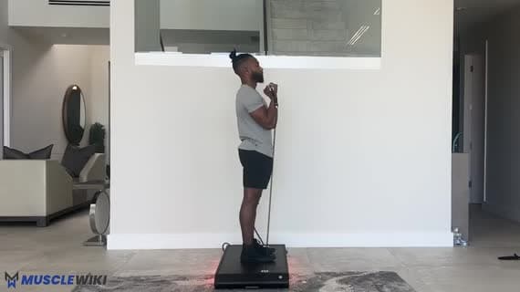 Vitruvian Arnold Press