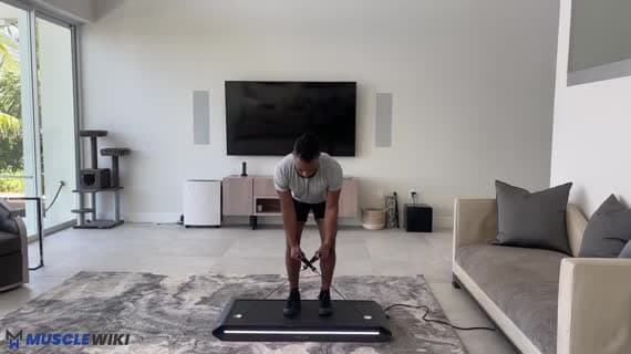 Vitruvian Rear Delt Fly