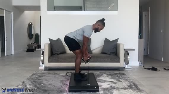 Vitruvian Rear Delt Fly