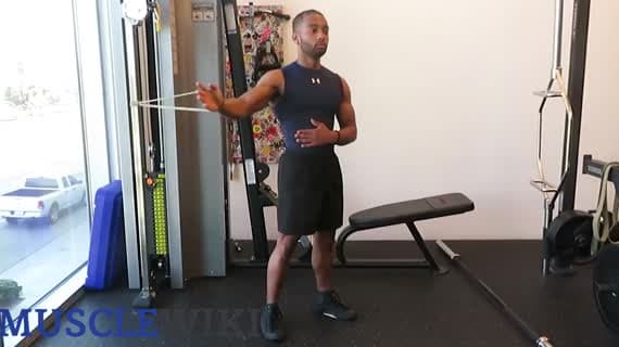 Direnç Bandı Tek Kollu Göğüs Fly'ı