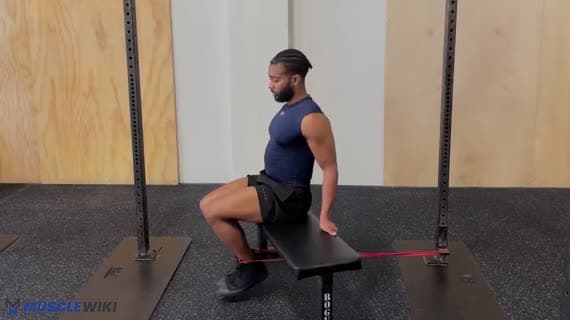 Estensione delle gambe con elastico