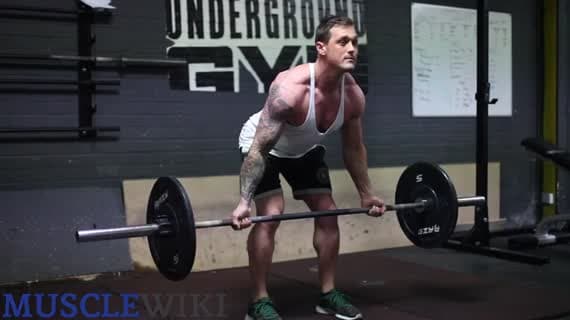 Barbell Bent Over Row