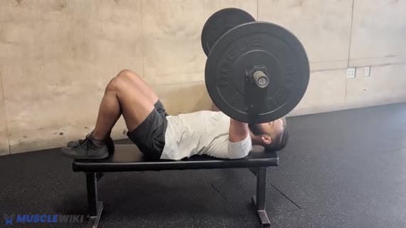 Barbell Hooklying Bench Press