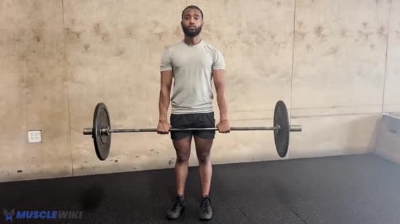 バーベルシュラッグ