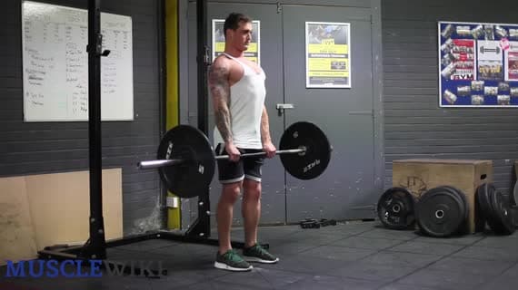 Barbell Stiff Leg Deadlifts