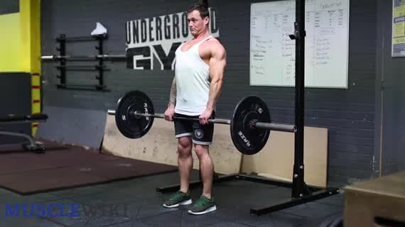 Barbell Stiff Leg Deadlifts