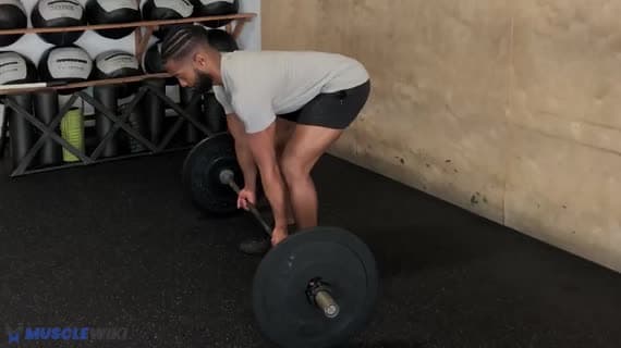 Barbell Supinated Pendlay Row