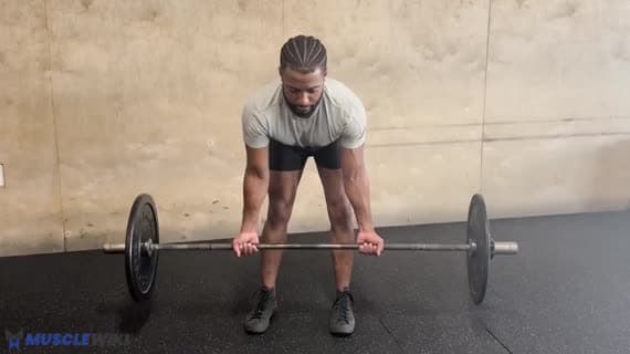 Barbell Supinated Row