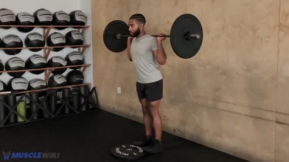 Barbell Toes Up Calf Raise