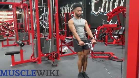 ケーブルカーフレイズ