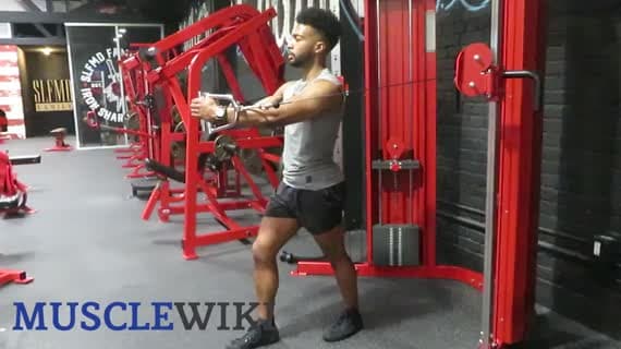 Cable Pec Fly