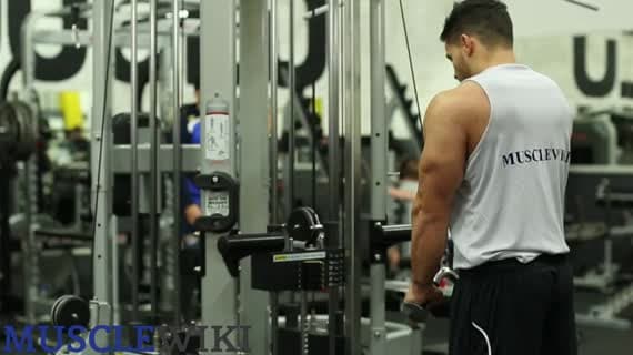 Extensions triceps à la poulie (barre en V)