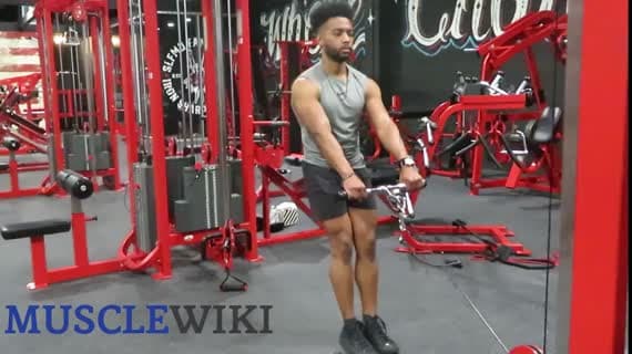 Silverback 绳索耸肩