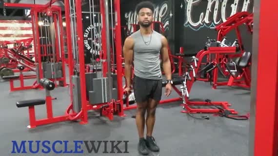 Cable Twisting Curl