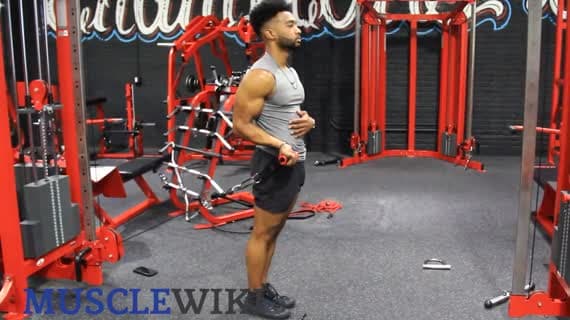 Cable Wrist Extension