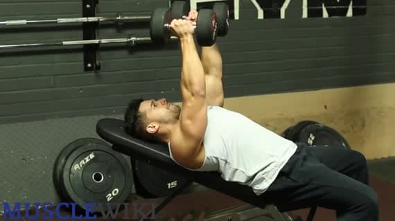Dumbbell Incline Chest Flys