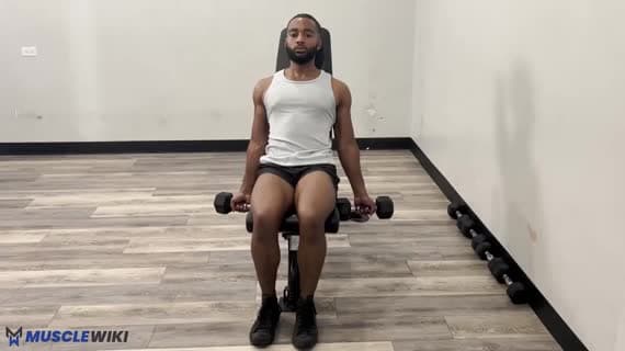 Rosca Zottman inclinada com halteres