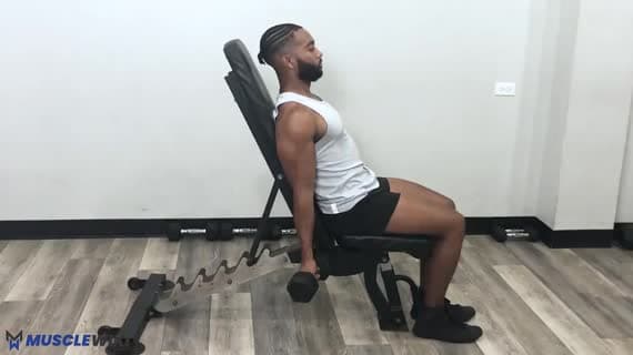 Rosca Zottman inclinada com halteres