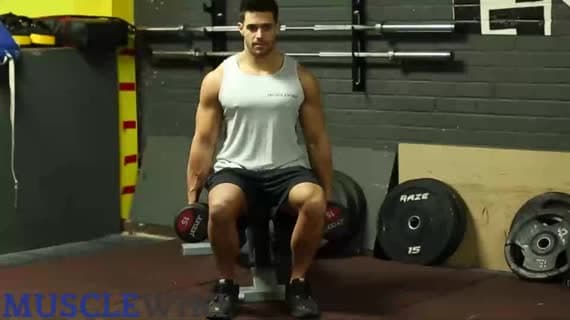 Encolhimento de Ombro Sentado com Halteres