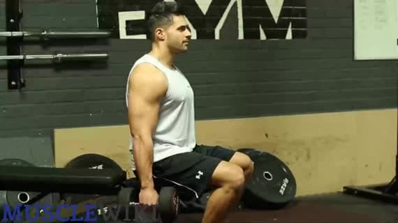 Encolhimento de Ombro Sentado com Halteres