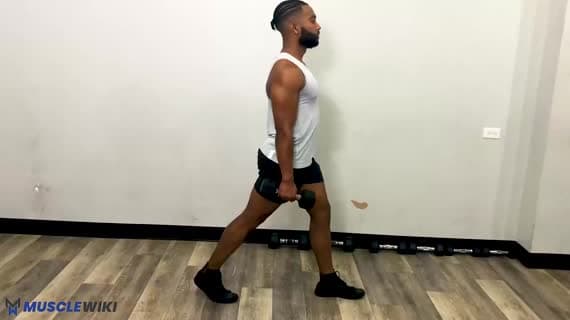 Dumbbell Split Squat Exercise Guide - Glutes Workout | MuscleWiki