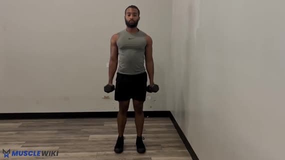 جلو بازو چرخشی با دمبل