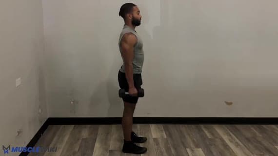 جلو بازو چرخشی با دمبل