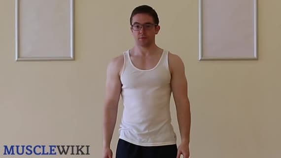 Allungamento Degli Avambracci Variazione Quattro