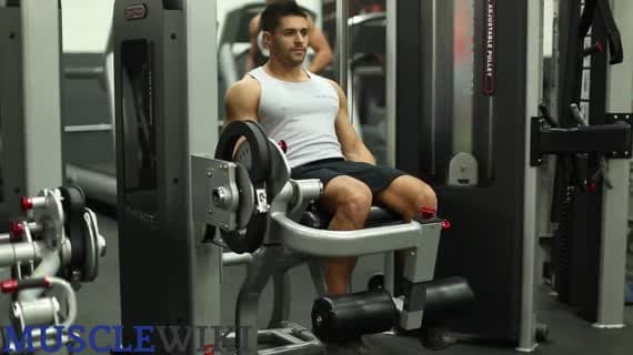 Bacak Ekstansiyonu (Makine)