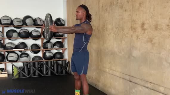 प्लेट कार ड्राइवर