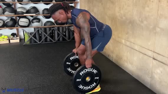 Plate Pinch Grip Row