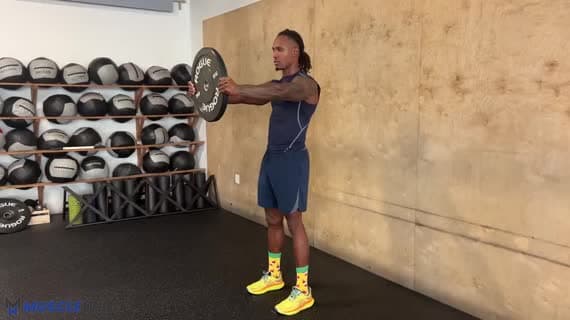 چرخش تنه ایستاده با صفحه وزنه