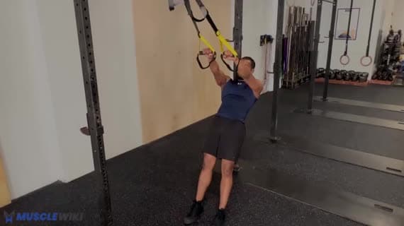 TRX W 举