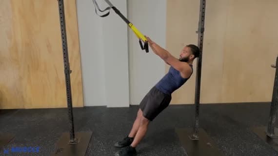 TRX W 举