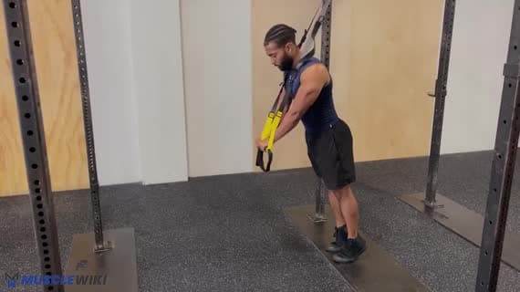 TRX Rollout Abdominal